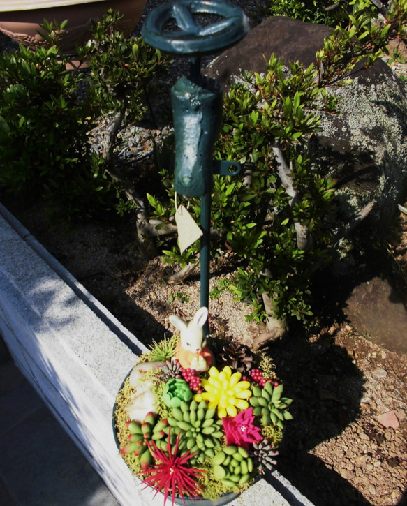 蛇口つきポットにカラフル多肉植物のアレンジ（樹脂粘土） 2枚目の画像