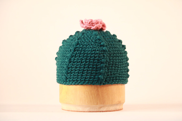 Mrs. GREEN APPLE ニット帽 レア ANCHOR（ファッション） ニット帽 ニットキャップ CELEB オール