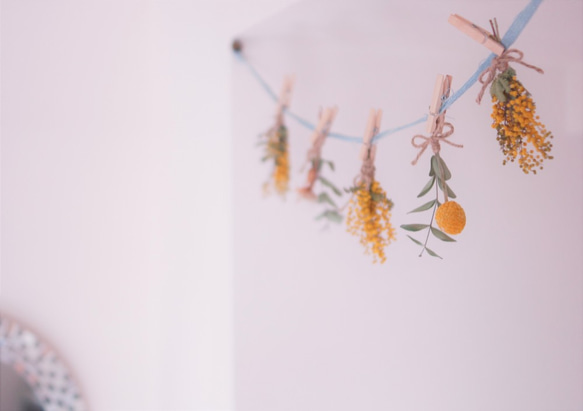 ミモザと珍しいお花のドライフラワーのガーランド 6枚目の画像