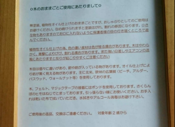 プリンとチョコアイス(お一人様1セット) 3枚目の画像