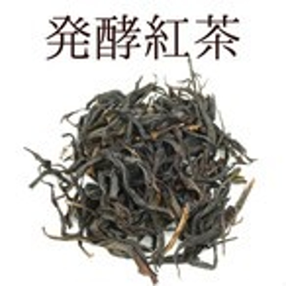 無農薬・無肥料☆自然発酵紅茶10包入り 1枚目の画像