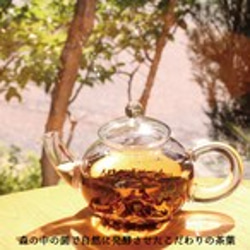 無農薬・無肥料☆自然発酵紅茶10包入り 2枚目の画像