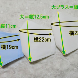 抗菌・抗ウィルス&不織布＆抗菌防臭Wガーゼ　3層構造立体マスク 2枚目の画像