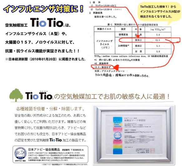  第4張的照片