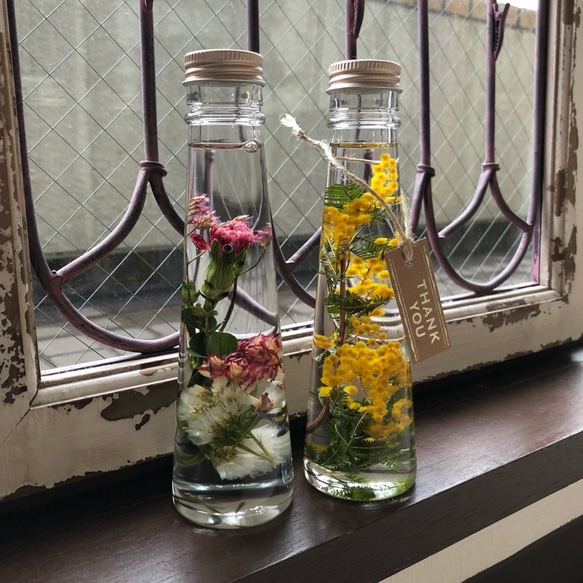 受注制作】ミモザのハーバリウム ハーバリウム・植物標本