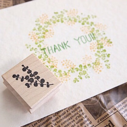 感謝大家超過1000次的收藏❤️ 圓葉尤加利 [橡皮圖章] 第5張的照片