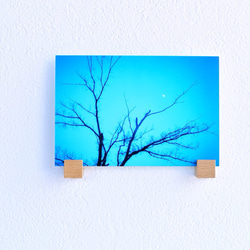 【写真のある部屋】お月様と木のある写真☆ポストカードサイズ 1枚目の画像