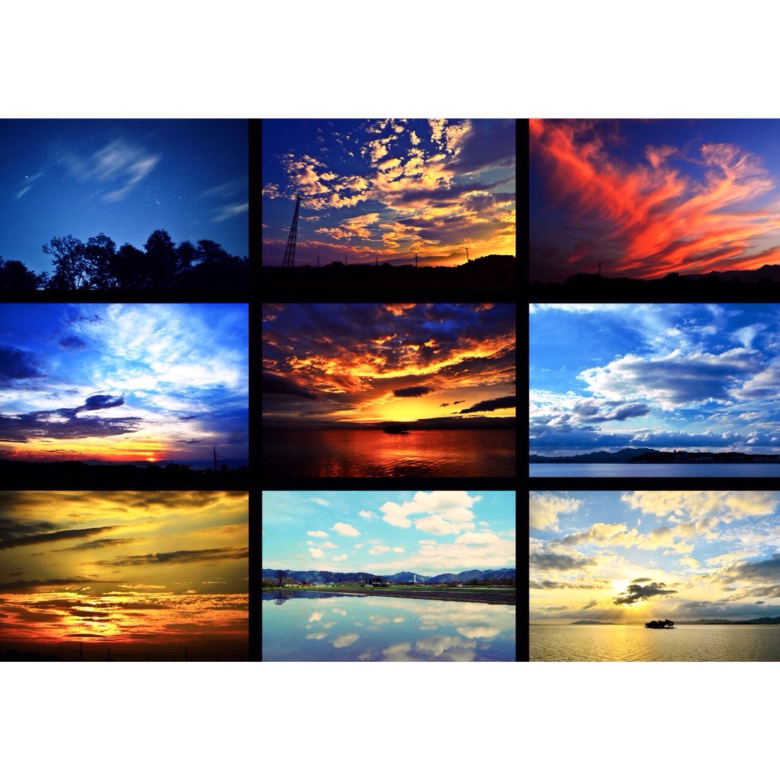 美麗! 高精細 プリント 写真 「青空へ・・・。」 写真 「青空へ・・・。」 高精細 プリント 美麗!