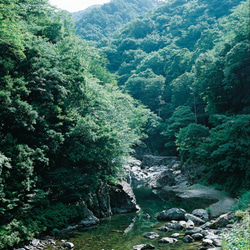 『清き渓谷』ミント調の風景写真☆ポストカードサイズ 1枚目の画像
