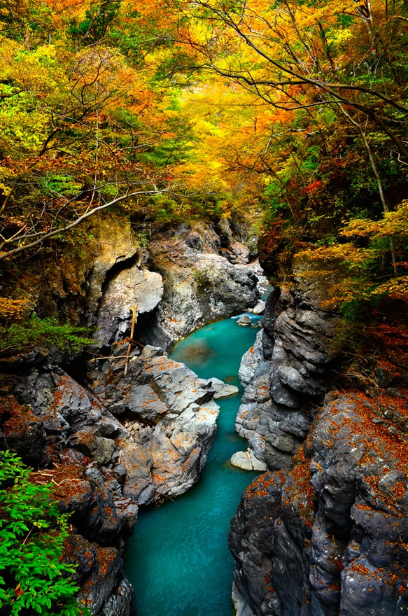 秋new【写真と暮らす】絶景の秋と流水 1枚目の画像