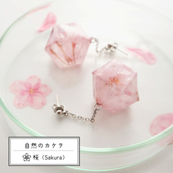 自然のカケラ_ピアス_桜 Sakura_六角形 ＜イヤリング交換可＞ 1枚目の画像