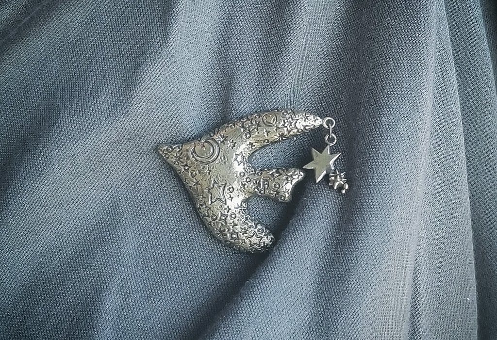 星空を駆ける鳥　ブローチ