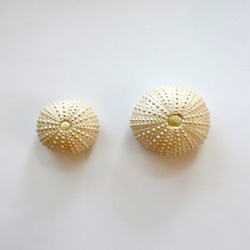 ウニ ピンクッション 針山 L 金色 sea urchin pincushion rose gold 4枚目の画像