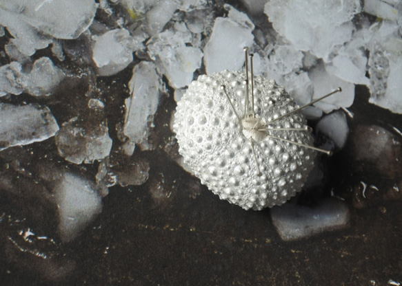 ２サイズ　ウニ ピンクッション 針山 パールホワイト sea urchin pincushion pearl white 2枚目の画像