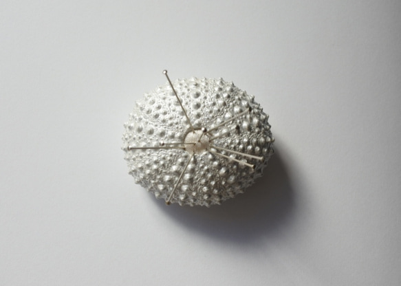 ２サイズ　ウニ ピンクッション 針山 パールホワイト sea urchin pincushion pearl white 5枚目の画像