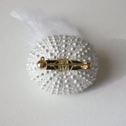 ウニの骨からできたブローチ パールホワイト sea urchin broach pearl white 4枚目の画像