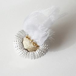 ウニの骨からできたブローチ パールホワイト sea urchin broach pearl white 5枚目の画像