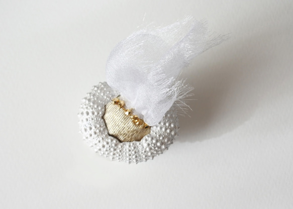 ウニの骨からできたブローチ パールホワイト sea urchin broach pearl white 5枚目の画像