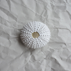 ウニ ピンクッション 針山 M sea urchin pincushion その他インテリア