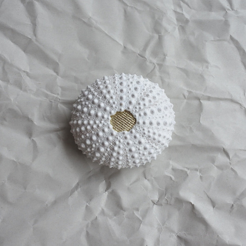 ウニ ピンクッション 針山 M sea urchin pincushion その他インテリア