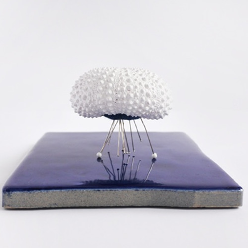 ウニ ピンクッション 針山 M sea urchin pincushion その他インテリア