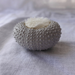 ２サイズ　ウニ ピンクッション 針山 夜明けの色 sea urchin pincushion light gray 1枚目の画像