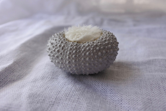 ２サイズ　ウニ ピンクッション 針山 夜明けの色 sea urchin pincushion light gray 1枚目の画像