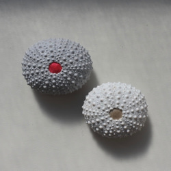 ２サイズ　ウニ ピンクッション 針山 夜明けの色 sea urchin pincushion light gray 7枚目の画像