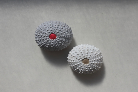 ２サイズ　ウニ ピンクッション 針山 夜明けの色 sea urchin pincushion light gray 7枚目の画像