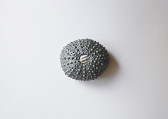 ２サイズ　ウニ ピンクッション 針山 黒銀 sea urchin pincushion silver 2枚目の画像