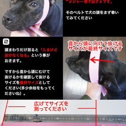 中型犬用革ハーフチョーク GX000(型押し白＋赤） 3枚目の画像