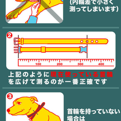 ３cm幅中型犬用革首輪（黄＋Nブルー＋ピンク）3cmTypeFB 2枚目の画像