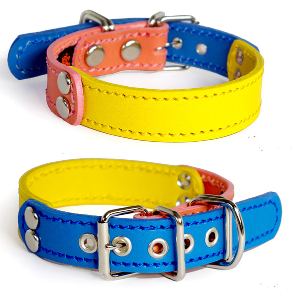 2cm幅小型犬用革首輪（ピンク＋黄色＋青）smallG5FB 1枚目の画像