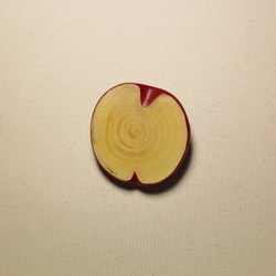 林檎の木で作った林檎のブローチ Ｂ 4枚目の画像