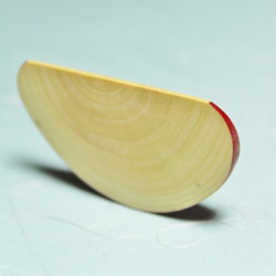 林檎の木で作った薄切り林檎のブローチ　Ａ 4枚目の画像