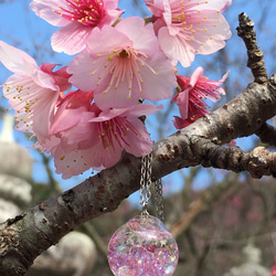 ♡桜の雫ネックレス♡ 2枚目の画像