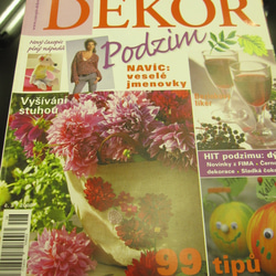 チェコの楽しい手づくり雑誌　2008　秋号 1枚目の画像