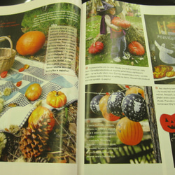 チェコの楽しい手づくり雑誌　2008　秋号 3枚目の画像
