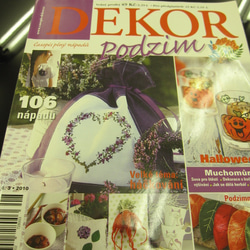 チェコの楽しい手づくり雑誌　2010　秋号 1枚目の画像