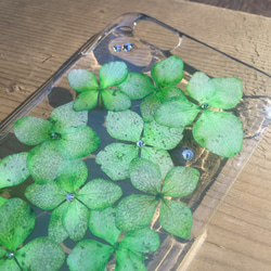 iPhone6/6s グリーン 紫陽花 携帯ケース 2枚目の画像