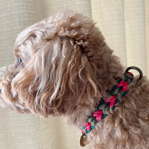 リードとおそろいチョーカー☆小型犬用☆パラコード首輪 リード・首輪