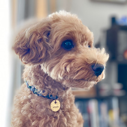 パラコード 6つ編みで編んだチョークリード/ベージュ×ホワイト リード