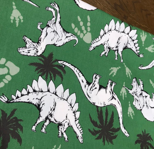 【再販】リアルな恐竜のお着替え袋★色違いあり 2枚目の画像