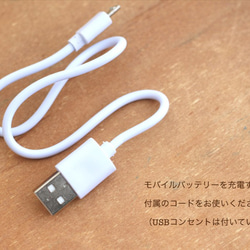 モバイルバッテリー「いろは」【マイクロUSB・Lightning対応】*訓子* 5枚目の画像