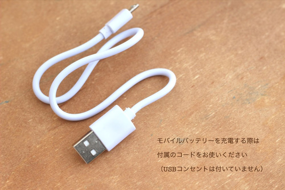 モバイルバッテリー「いろは」【マイクロUSB・Lightning対応】*訓子* 5枚目の画像