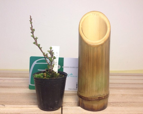 木製　竹　花瓶　お盆　花台　ハンドメイド　まとめ売り 7点　バラ売り可 1_8e912d40a65c4cf027be21010524