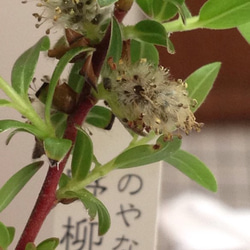 落ち着いた和のスマホスタンド。ゆらりトンボ、ペン立て付き。竹工芸、手作り。 落ち着いた和のスマホスタンド。ゆらりトンボ、ペン立て付き。竹