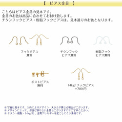 ★新春福袋2020年✦【Creema限定＆１セット限り】新作ピアス2点+おまけピアス2点付き 10枚目の画像