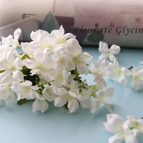 【中古】 最高の花嫁候補/ハーパーコリンズ・ジャパン/ジャスミン・クレスウェル 楽天市場】草花の苗/ジャスミン：ホワイトプリンセス3号ポット 2