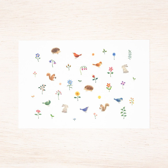 5枚セット。絵本のような。ポストカード "動物たちと花と草" PC-32 2枚目の画像